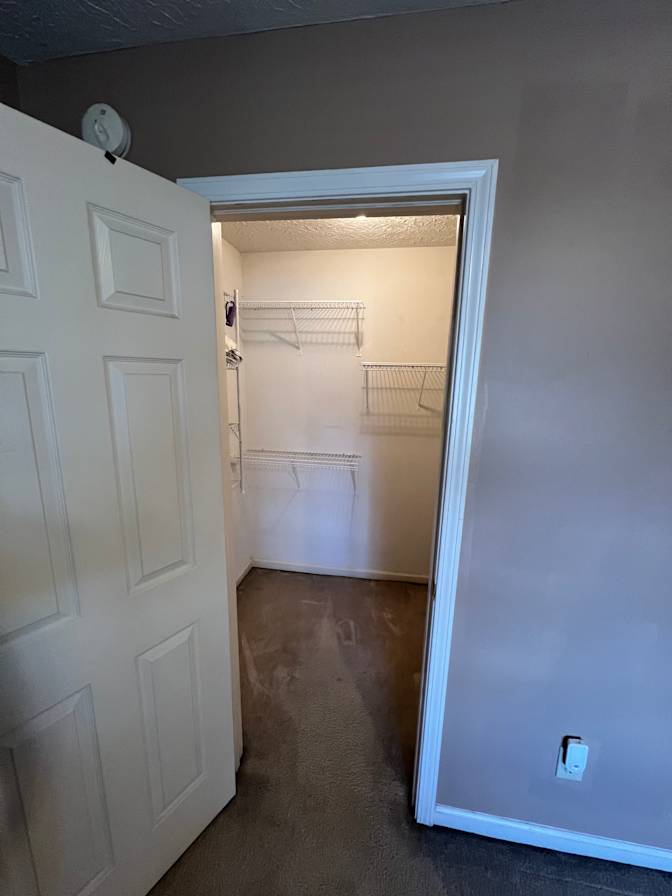 Cat mom's room