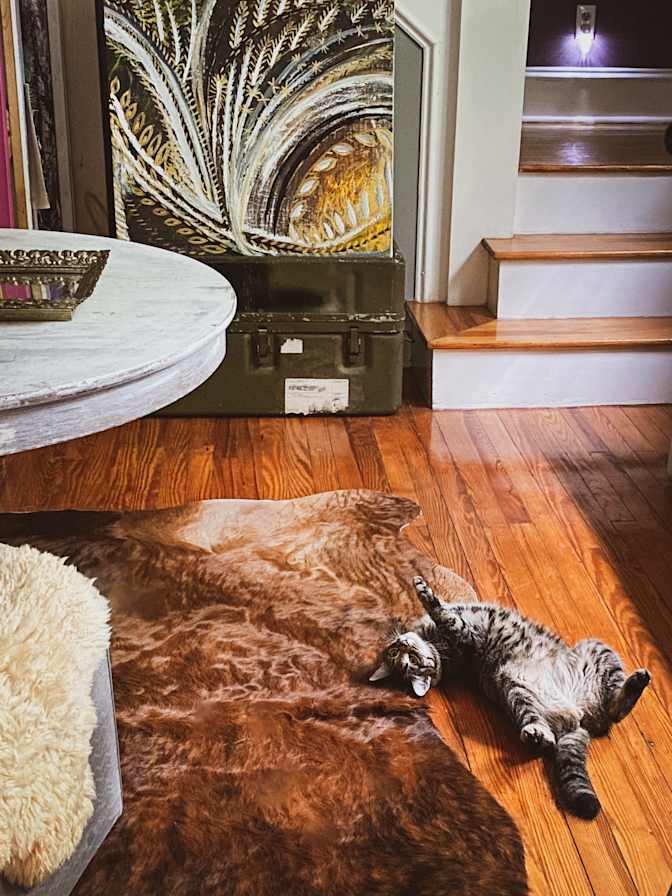 Erika's room