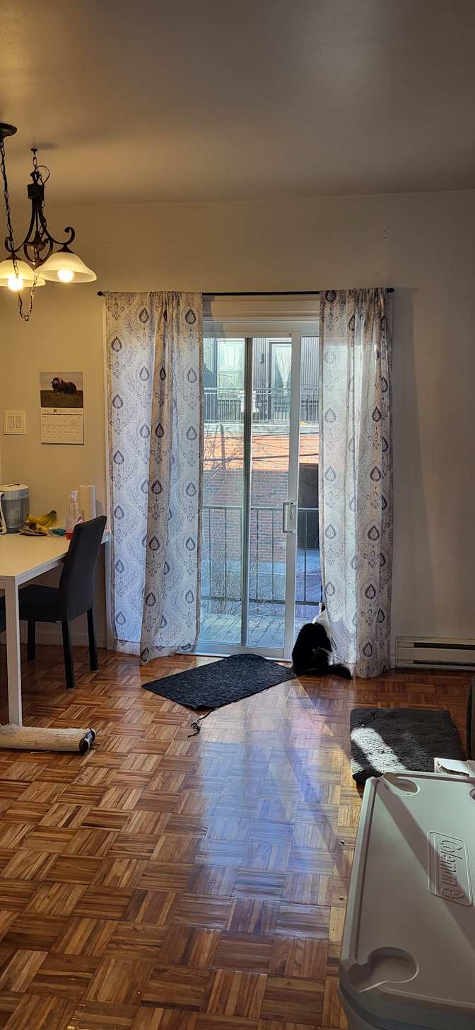 Maxime's room