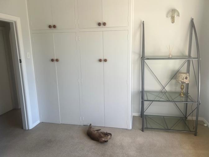 craig's room