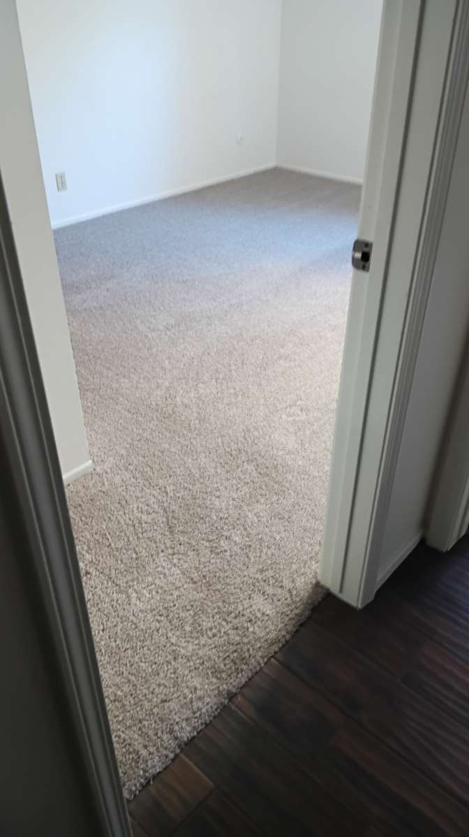 Harry's room