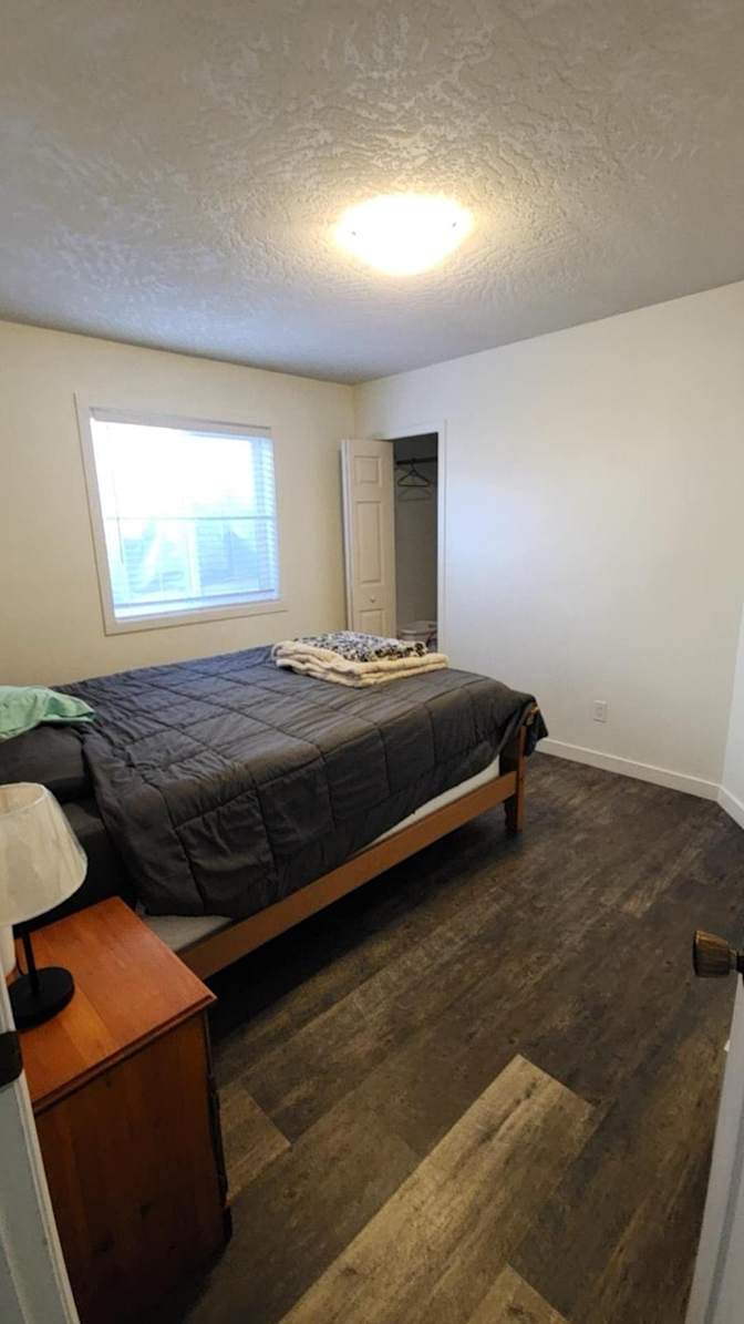 Mohammad Hossein's room