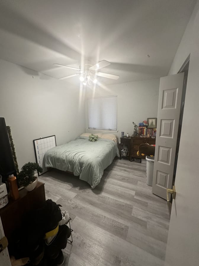 Bielka's room