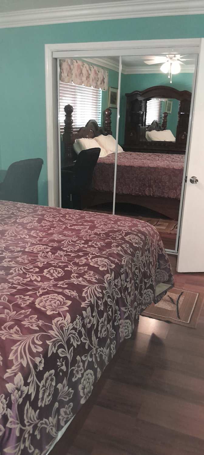 Edwina tutt's room