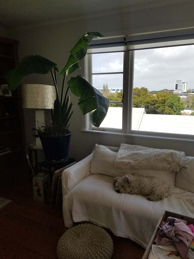 Kerry's room