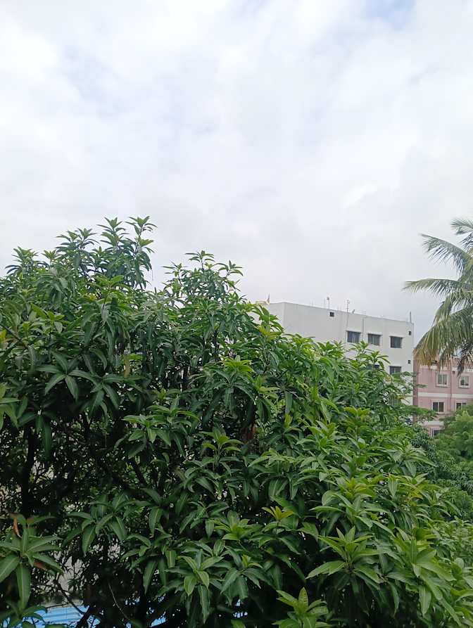 Deepak's room