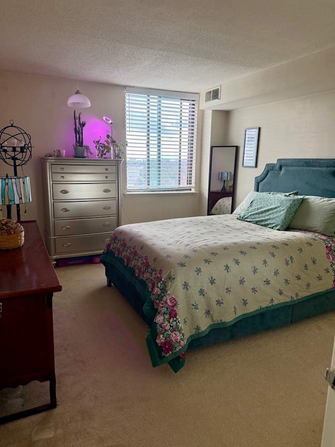 Laurie Michele Parrinello's room