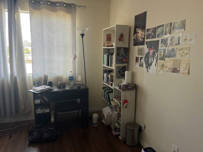 Abi's room