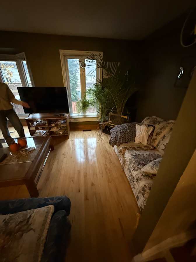 Lily's room