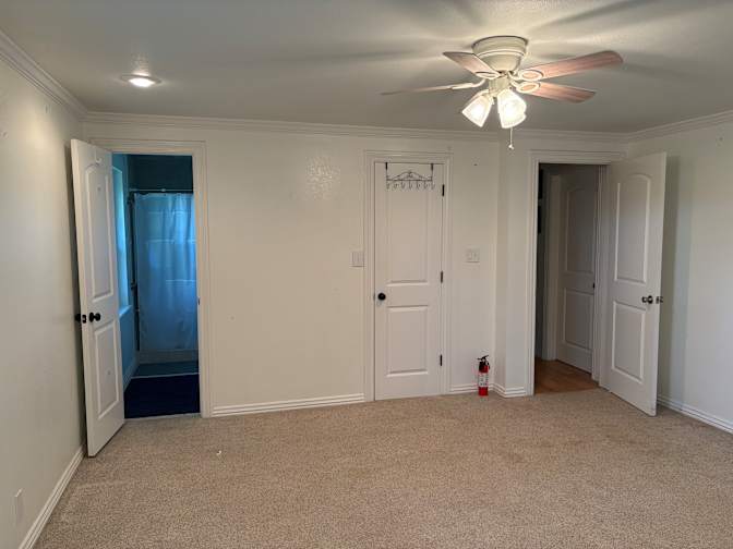 Niki's room