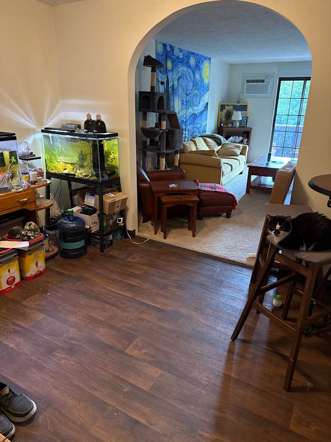 Anthony's room