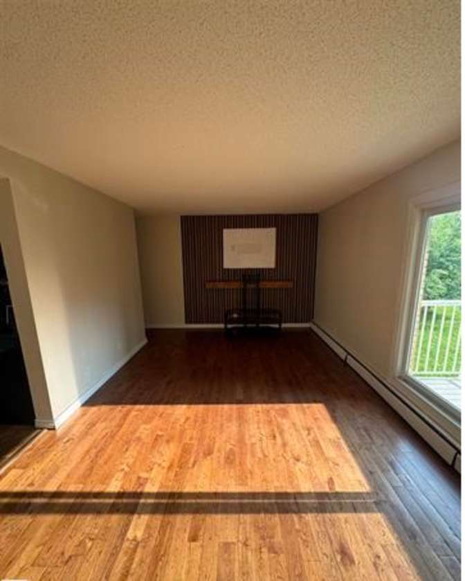 Todd's room