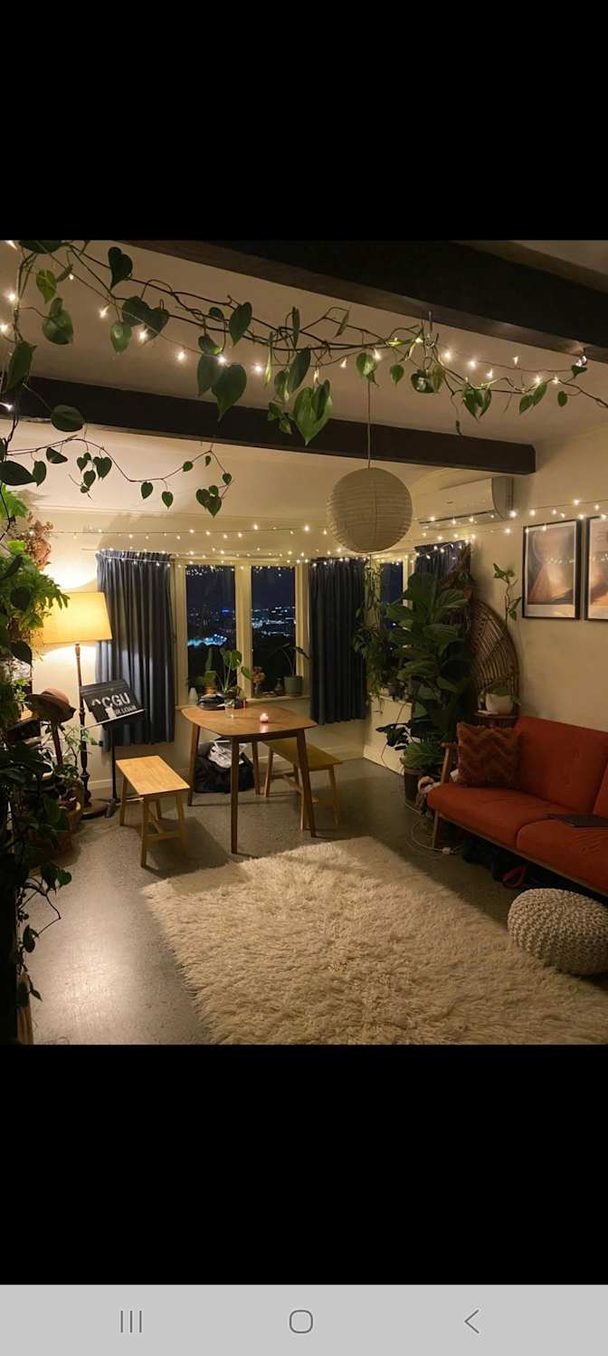 Bruno Cicerone's room