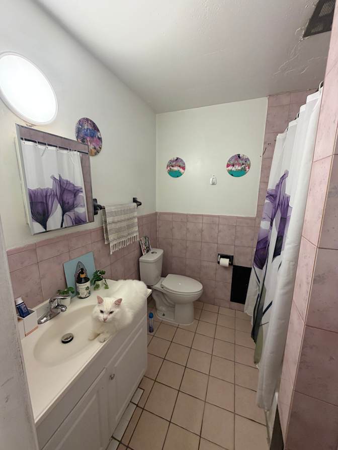 Eglinton Avenue West - Photo 8