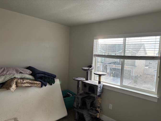 Jennifer Nordic's room