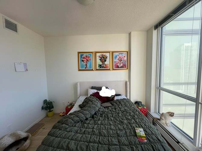 Alison Elewa's room