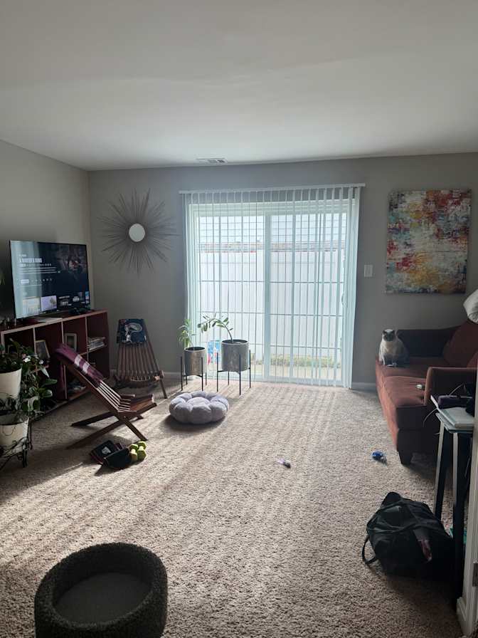 Zue's room
