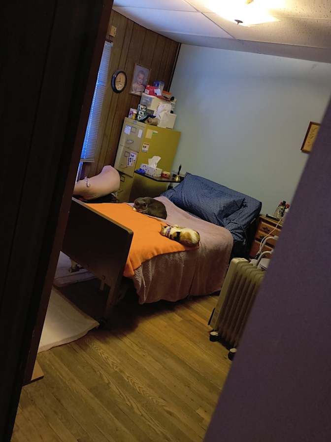 Michelle's room