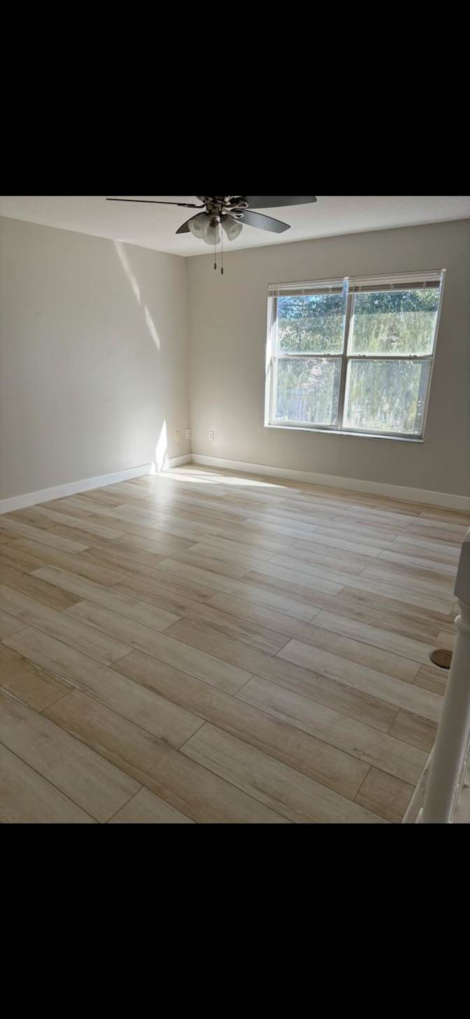 harry mendez's room