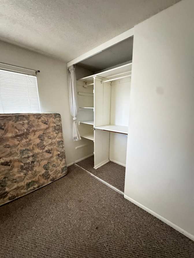 Martin's room