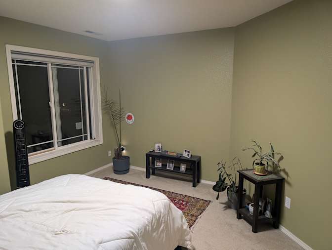Tamer's room
