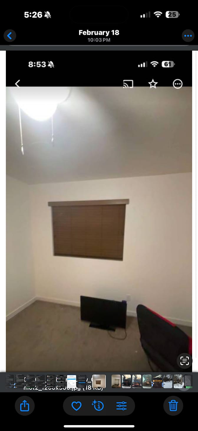 Morgie Stack's room
