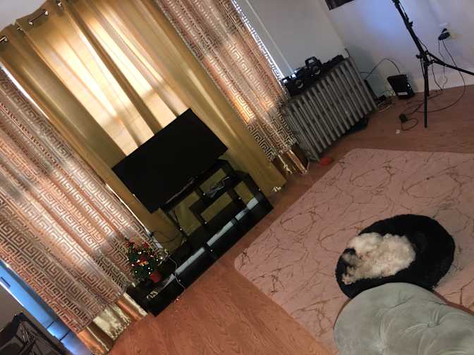 Budget Stays's room