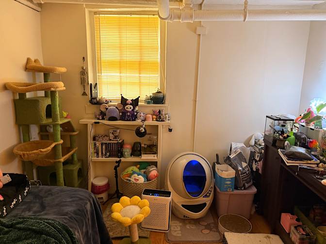 Tiana's room