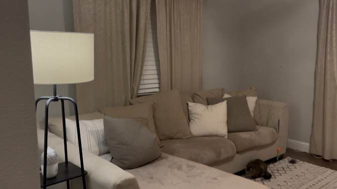 stacy's room