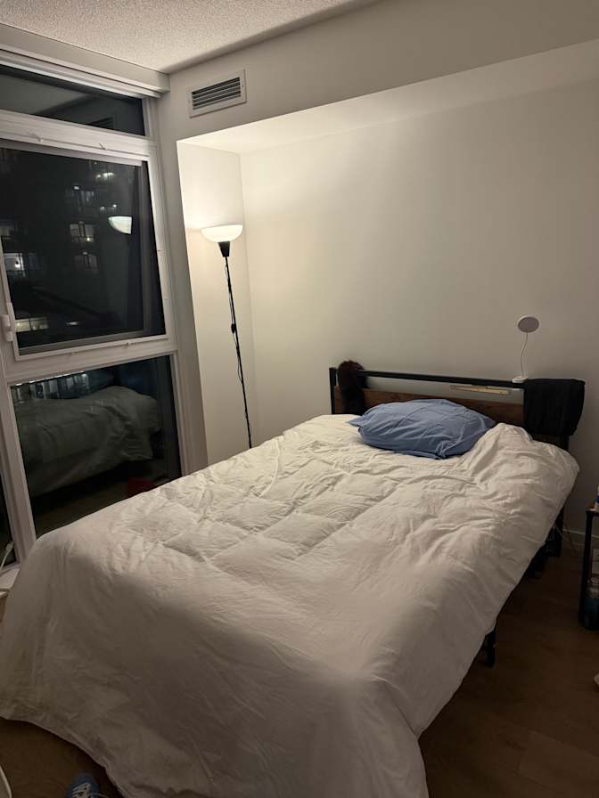 David Zhang's room