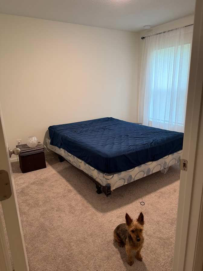 Amanda's room