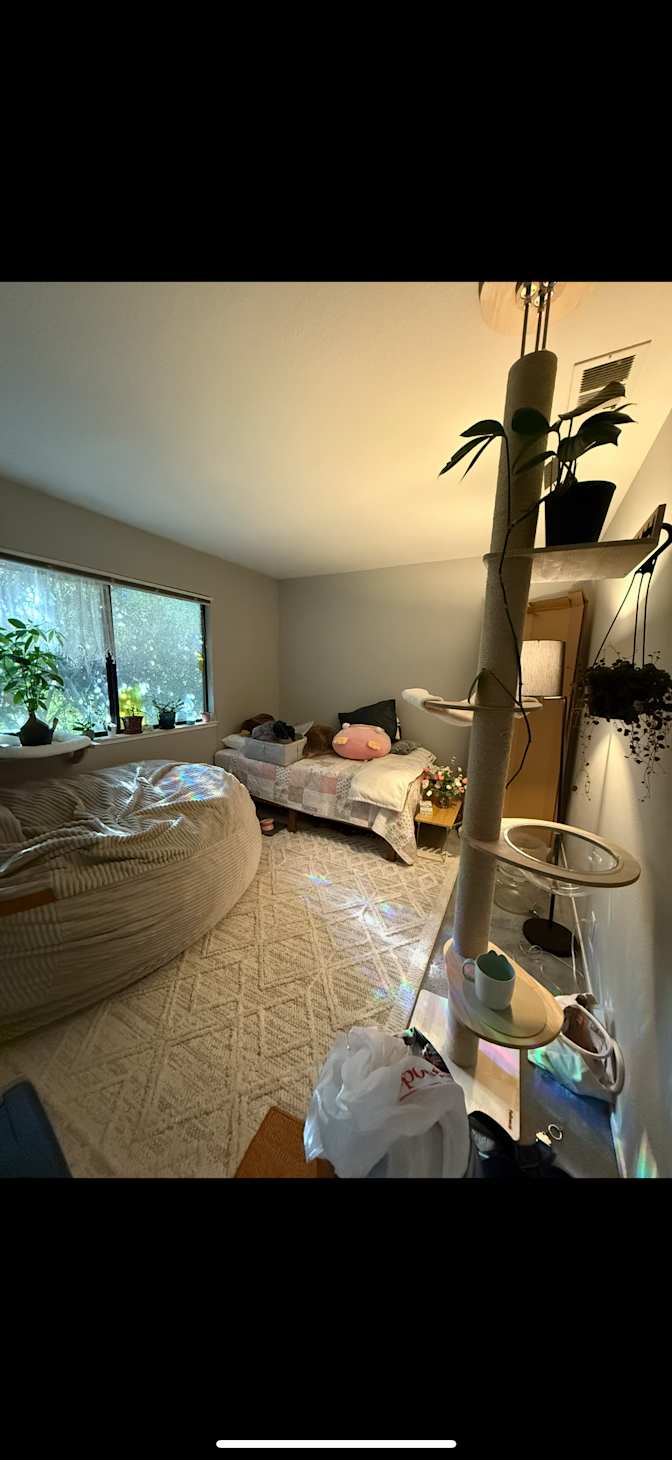 Emma's room