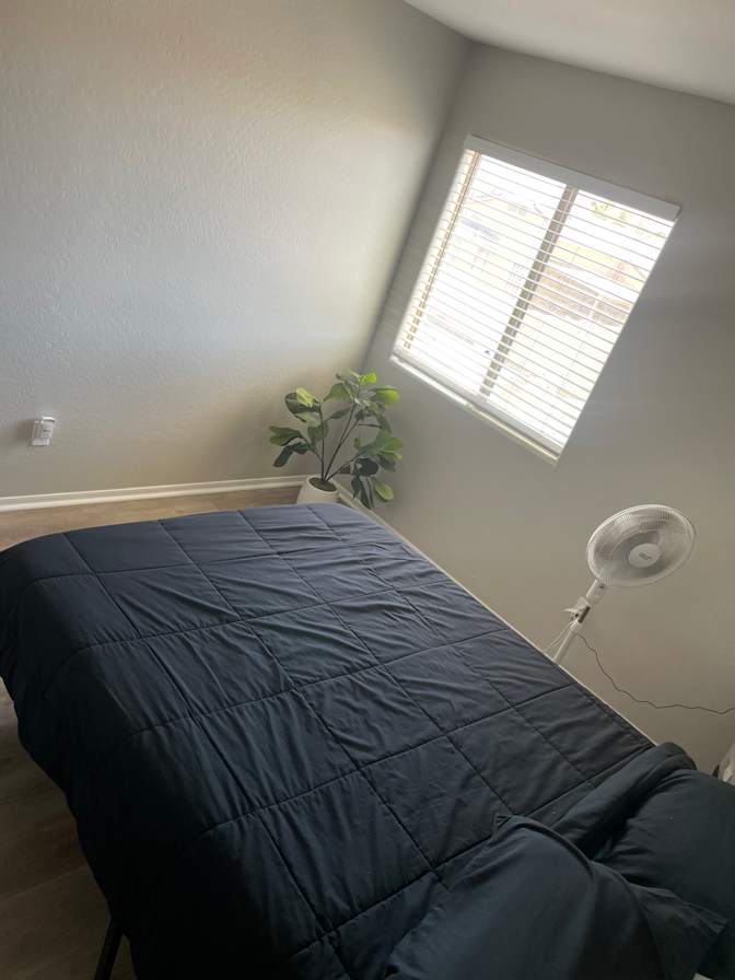 Lia Homes's room