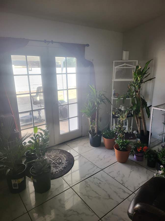 gregory's room