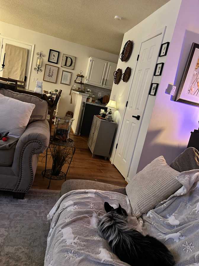 Mo's room