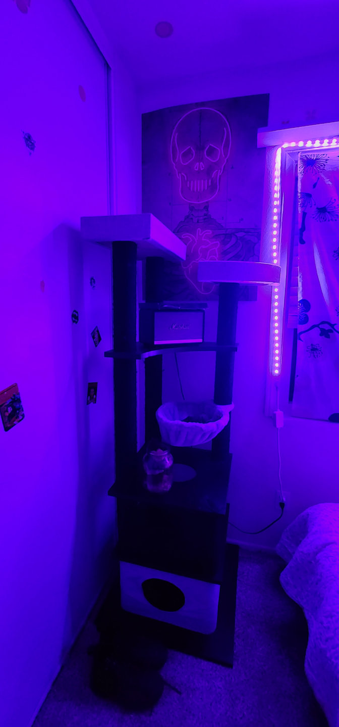 Tony's room