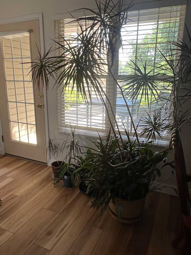 Barb's room