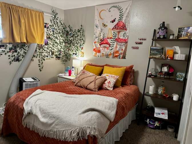 Emmett's room