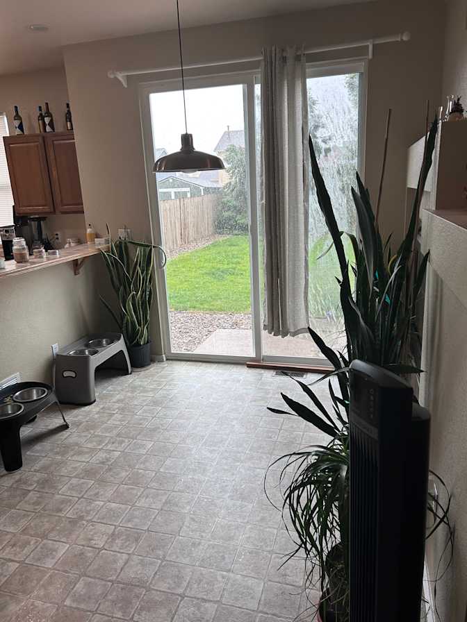 Will's room