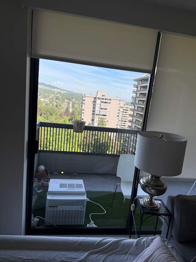 Mehdi's room
