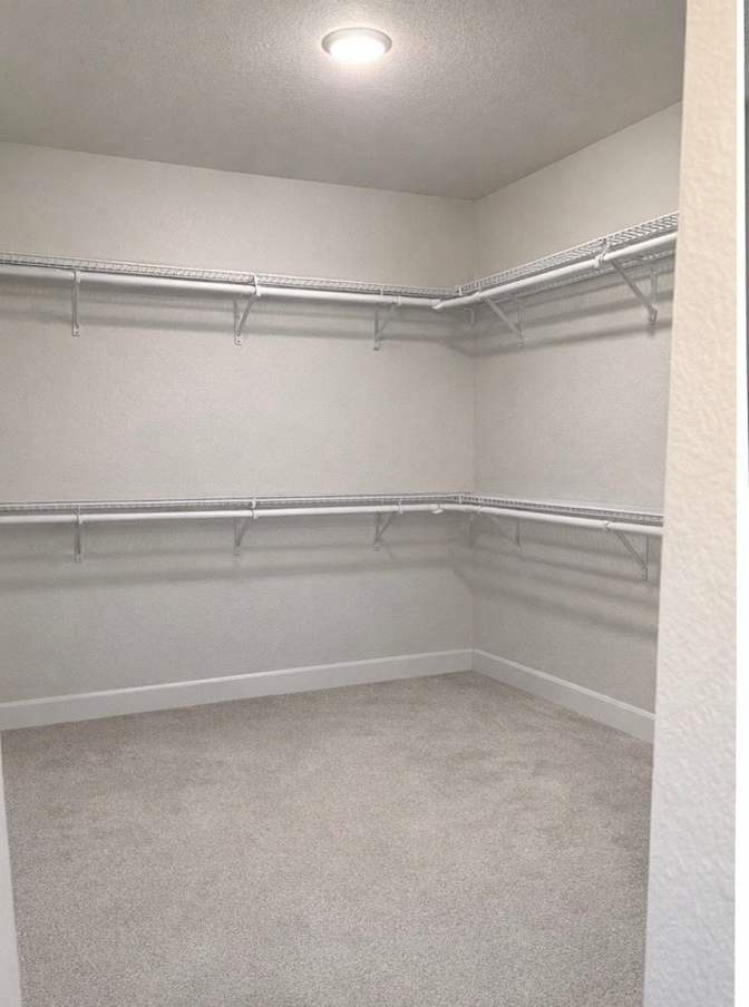 Sheena Tavana's room