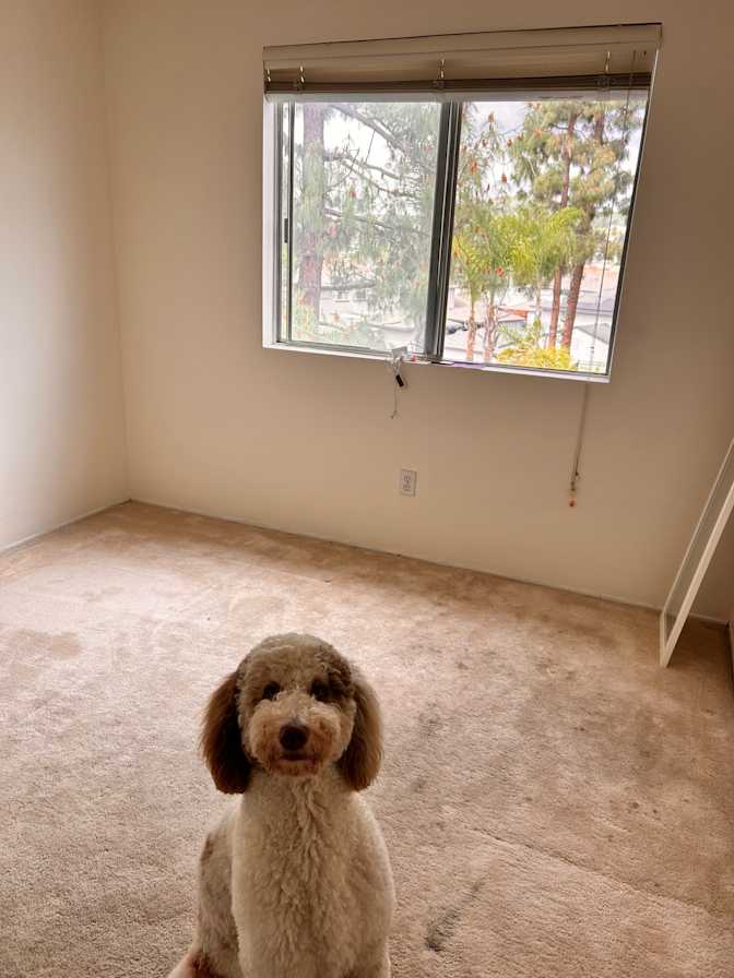 Sophia's room