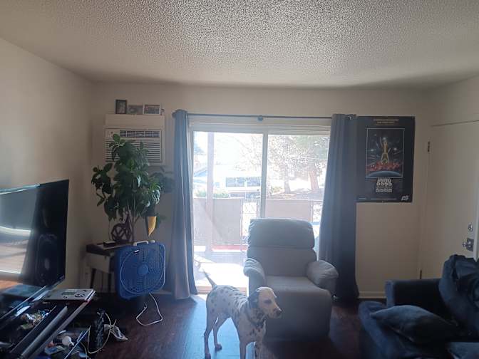 Daniel's room