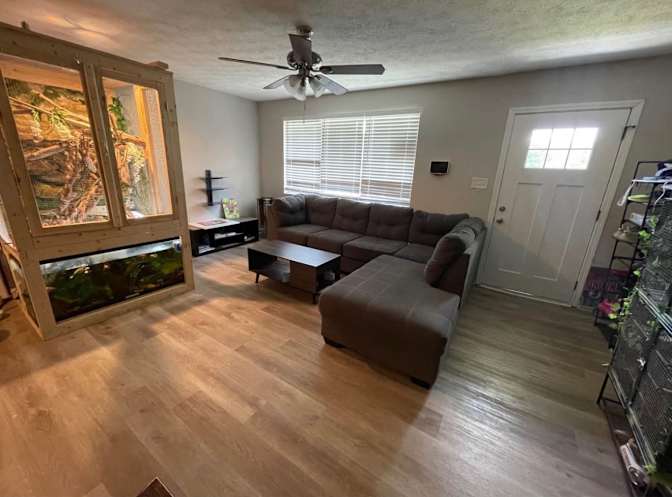 Nicholas Lawrence's room