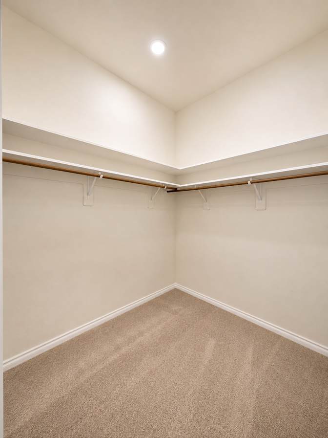 Abi's room