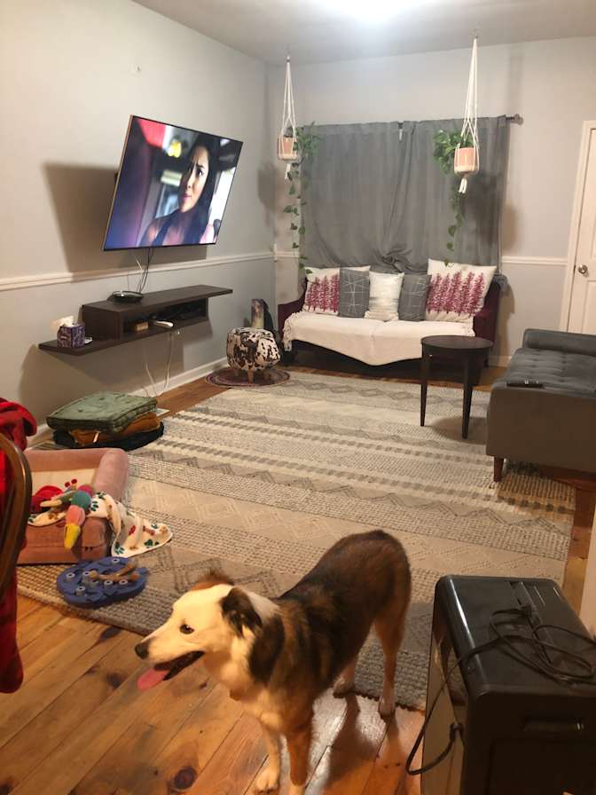 Jodie's room