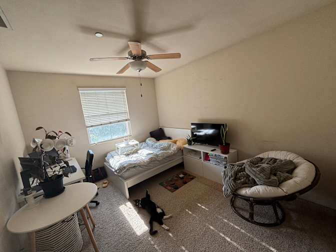 Megan's room