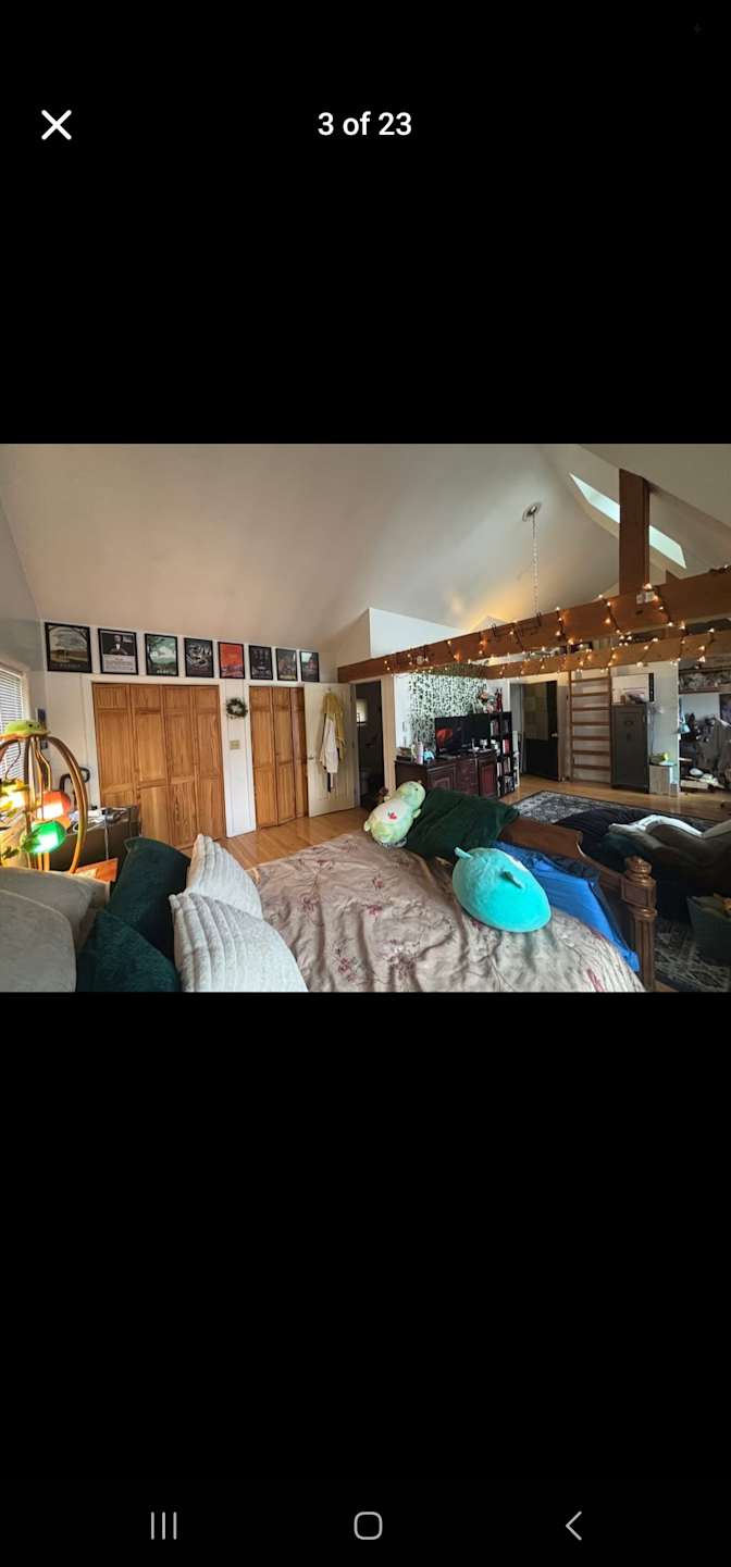 Layla's room