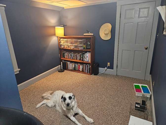Jolene's room