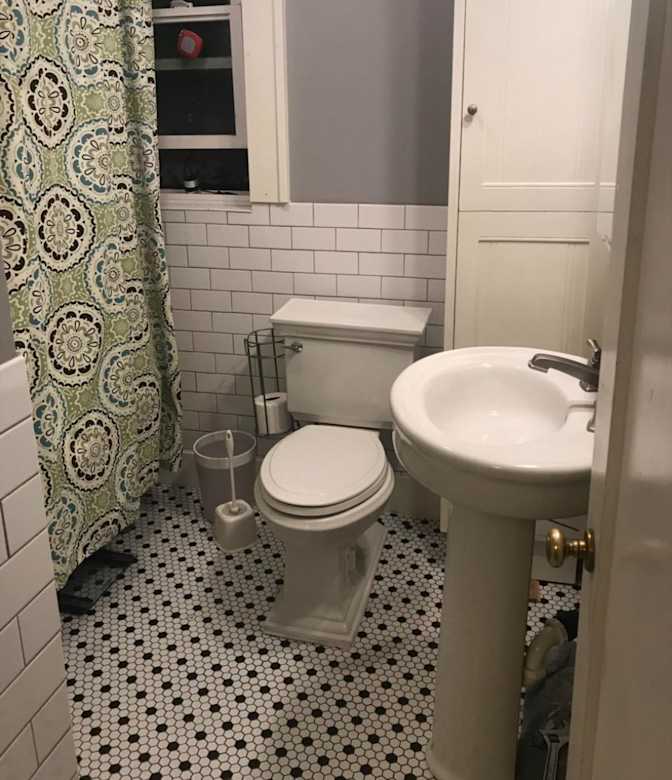 Cat's room